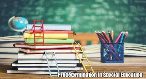 Predetermination in Special Education - What Can you Do About It?