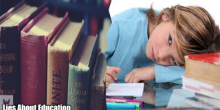Lies About Special Education Eligibility and 6 Approaches to Overcome Them!